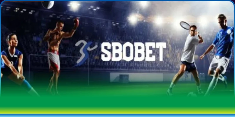 SBO স্পোর্টস সম্পর্কে আকর্ষণীয় কিছু তথ্য